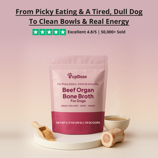Beef Organ Bone Broth — (Grass Fed) Immune, Joint & Heart Support for Dogs