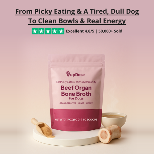 Beef Organ Bone Broth — (Grass Fed) Immune, Joint & Heart Support for Dogs