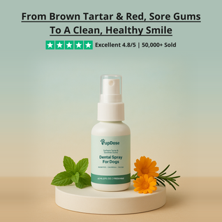 Dental Spray — Tartar Removal, Healthy Gums & Fresh Breath for Dogs