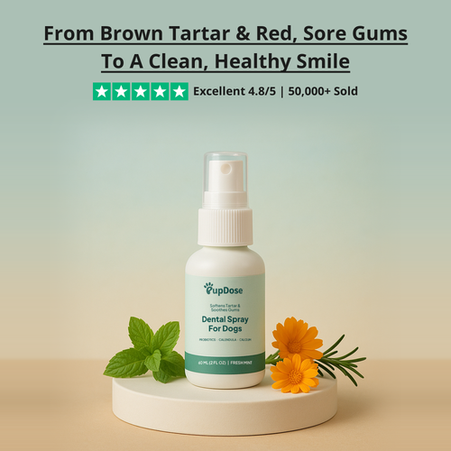 Dental Spray — Tartar Removal, Healthy Gums & Fresh Breath for Dogs