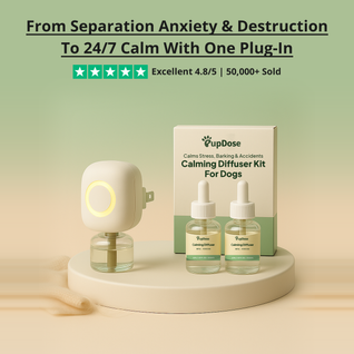 Calming Diffuser Kit — Separation Anxiety, Barking & Accident Relief for Dogs