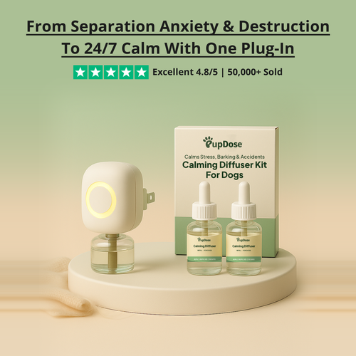 Calming Diffuser Kit — Separation Anxiety, Barking & Accident Relief for Dogs