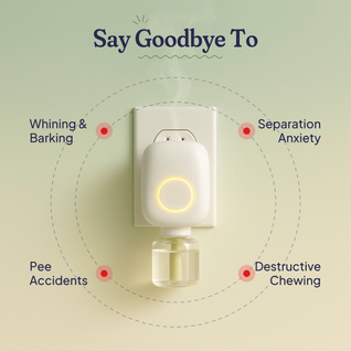 Calming Diffuser Kit — Separation Anxiety, Barking & Accident Relief for Dogs