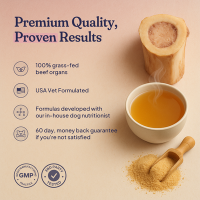 Beef Organ Bone Broth — (Grass Fed) Immune, Joint & Heart Support for Dogs