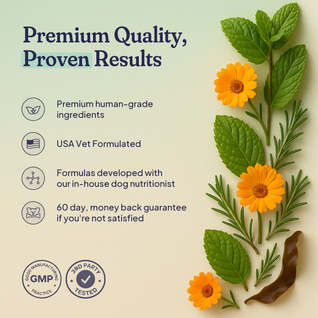 Dental Spray — Tartar Removal, Healthy Gums & Fresh Breath for Dogs