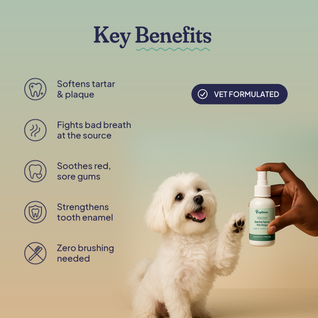 Dental Spray — Tartar Removal, Healthy Gums & Fresh Breath for Dogs
