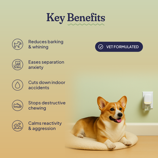 Calming Diffuser Kit — Separation Anxiety, Barking & Accident Relief for Dogs