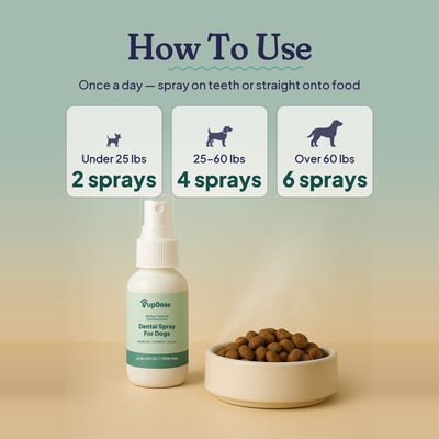 Dental Spray — Tartar Removal, Healthy Gums & Fresh Breath for Dogs