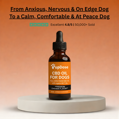 CBD Dog Oil — Anxiety Relief, Stress Support & Long-Term Vitality for Dogs