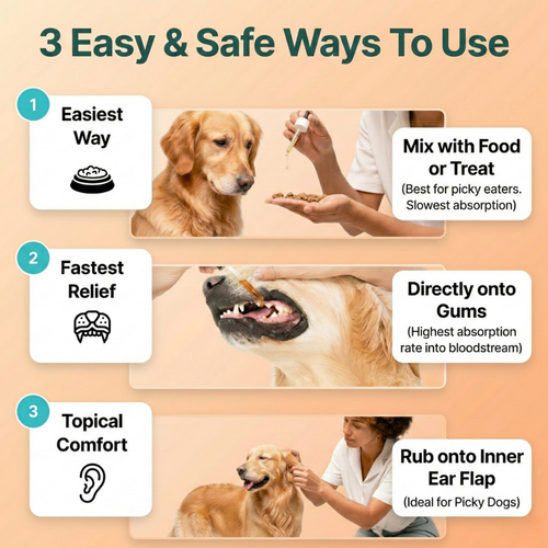 CBD Dog Oil — Anxiety Relief, Stress Support & Long-Term Vitality for Dogs