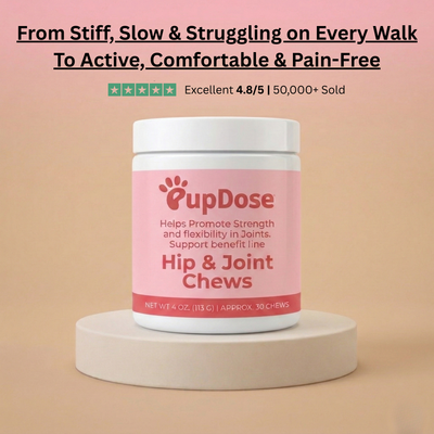 Hip & Joint Chews — Inflammation Relief & Long-Term Mobility for Dogs