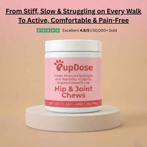 Hip & Joint Chews — Inflammation Relief & Long-Term Mobility for Dogs