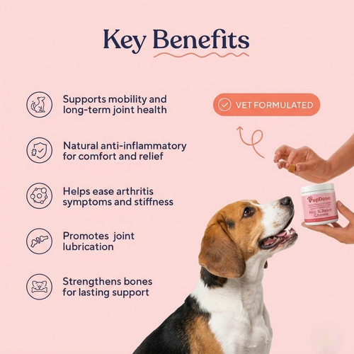 Hip & Joint Chews — Inflammation Relief & Long-Term Mobility for Dogs