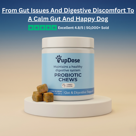 Probiotic Chews — Gut Health, Digestive Support & Immune Balance for Dogs