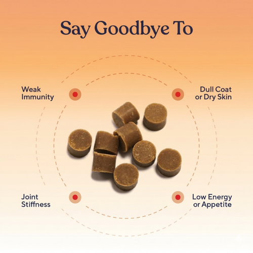 Multivitamin Chews — Daily Energy, Immune Support & Total Body Wellness for Dogs