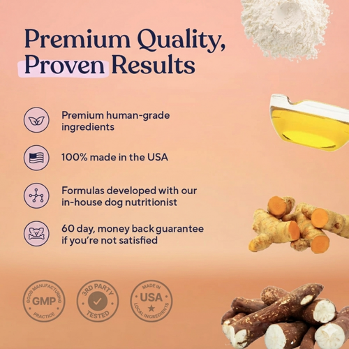 Multivitamin Chews — Daily Energy, Immune Support & Total Body Wellness for Dogs