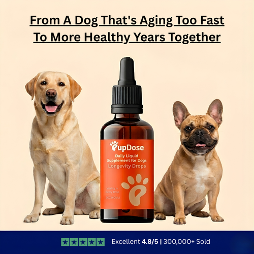 Longevity Drops — NAD+ & NMN Healthy Aging & Cellular Vitality for Dogs