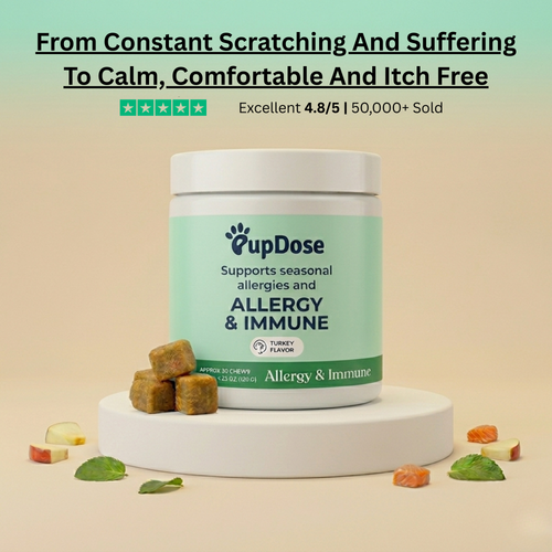 Allergy & Immune Support Chews - Anti-Itch, Skin Relief & Seasonal Allergy Defense for Dogs