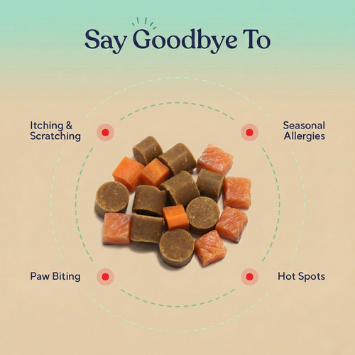 Allergy & Immune Support Chews - Anti-Itch, Skin Relief & Seasonal Allergy Defense for Dogs