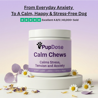 Calm Chews — Anxiety Relief & Stress Support for Dogs
