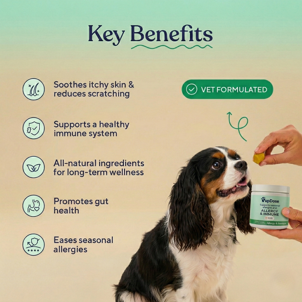 Not just "allergy relief" — it's real immune balance