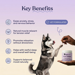 Calm Chews — Anxiety Relief & Stress Support for Dogs
