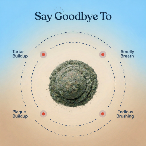 Dental Powder — Fresh Breath, Cleaner Teeth & Healthier Gums for Dogs