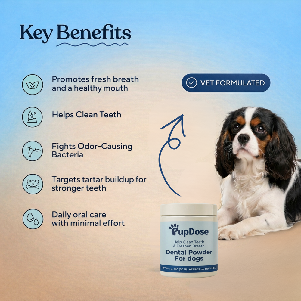 Not just "fresh breath" — it's real oral health