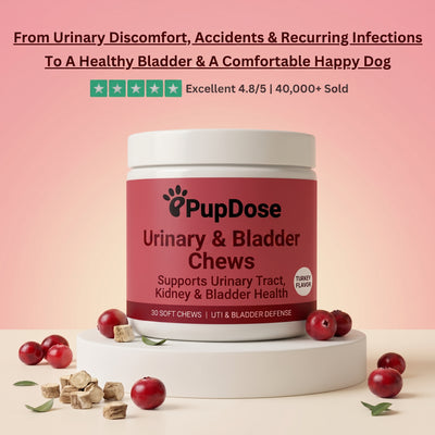 Urinary & Bladder Support Chews — UTI Relief, Bladder Health & Urinary Defense for Dogs
