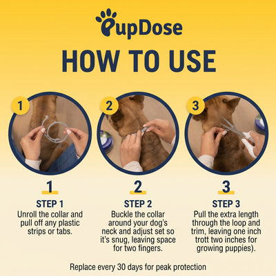 Flea & Tick Collar — Maximum Strength Protection Against Fleas, Ticks & Lice for Dogs