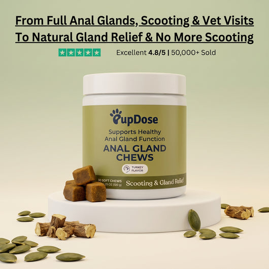 Anal Gland Chews — Scooting Relief, Gland Health & Digestive Support for Dogs