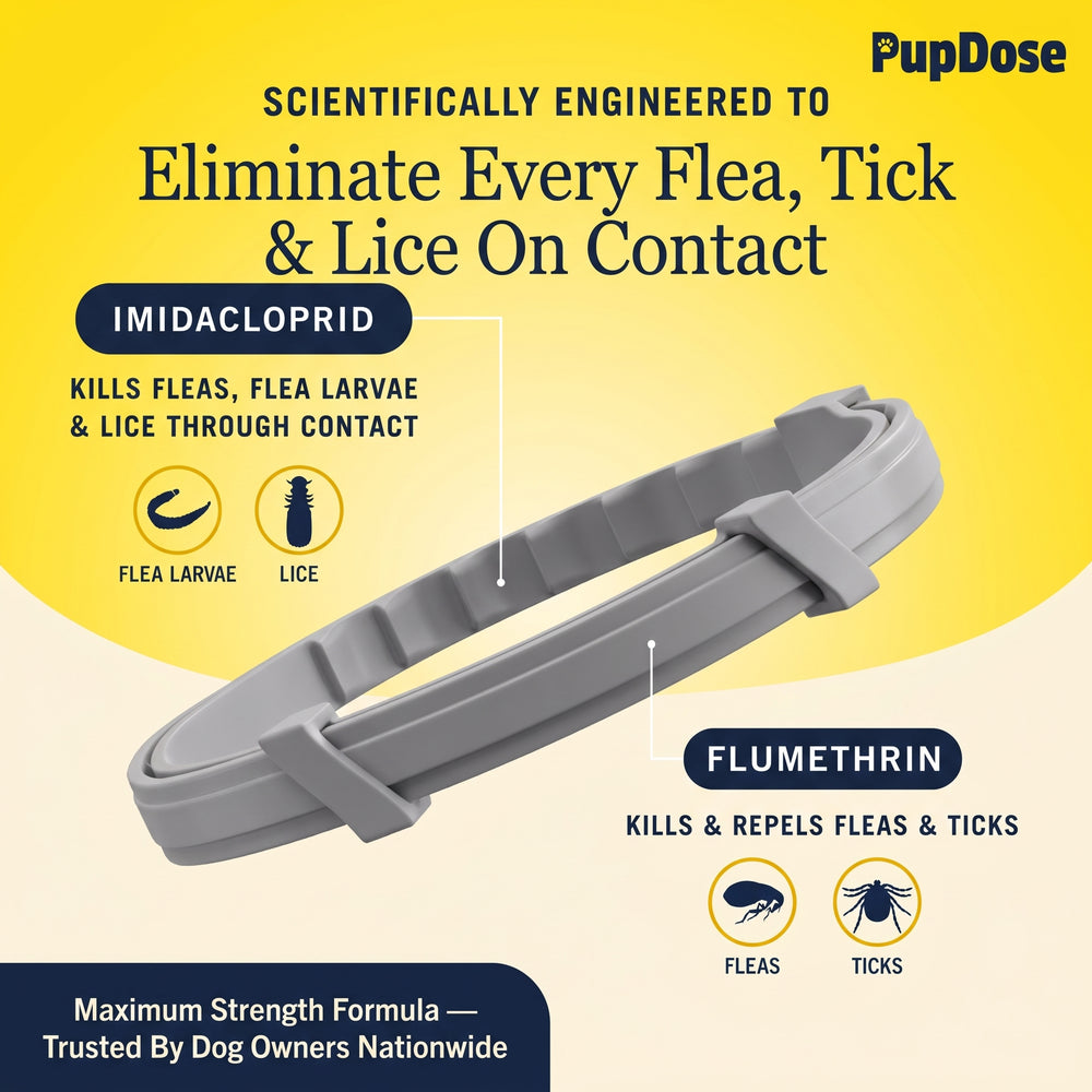 Not just a "flea collar" — it's a monthly protection reset