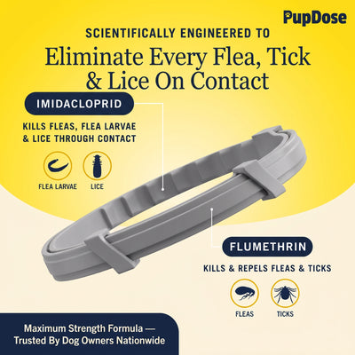 Flea & Tick Collar — Maximum Strength Protection Against Fleas, Ticks & Lice for Dogs