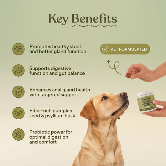 Anal Gland Chews — Scooting Relief, Gland Health & Digestive Support for Dogs
