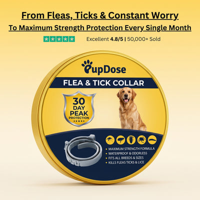 Flea & Tick Collar — Maximum Strength Protection Against Fleas, Ticks & Lice for Dogs