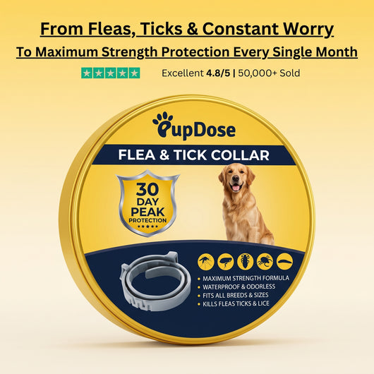 Flea & Tick Collar — Maximum Strength Protection Against Fleas, Ticks & Lice for Dogs