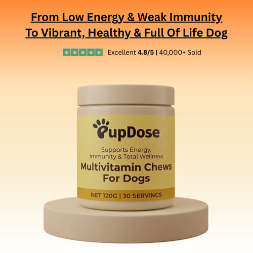 Multivitamin Chews — Daily Energy, Immune Support & Total Body Wellness for Dogs